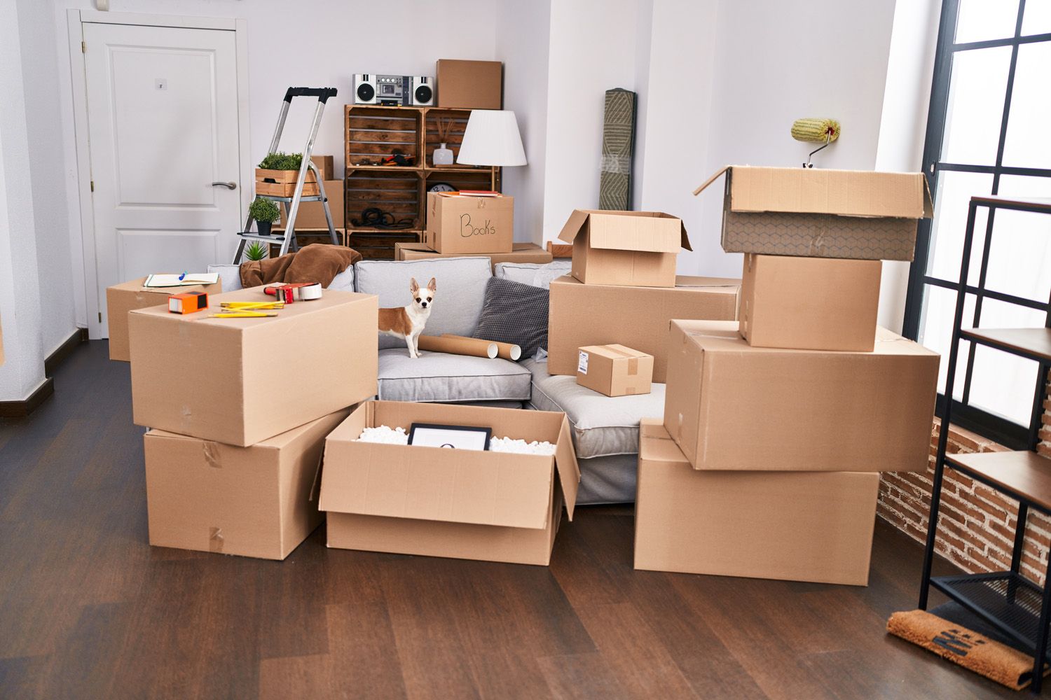 Cardboard boxes piled in an apartment, indicating moving day with a small dog standing amidst the chaos.